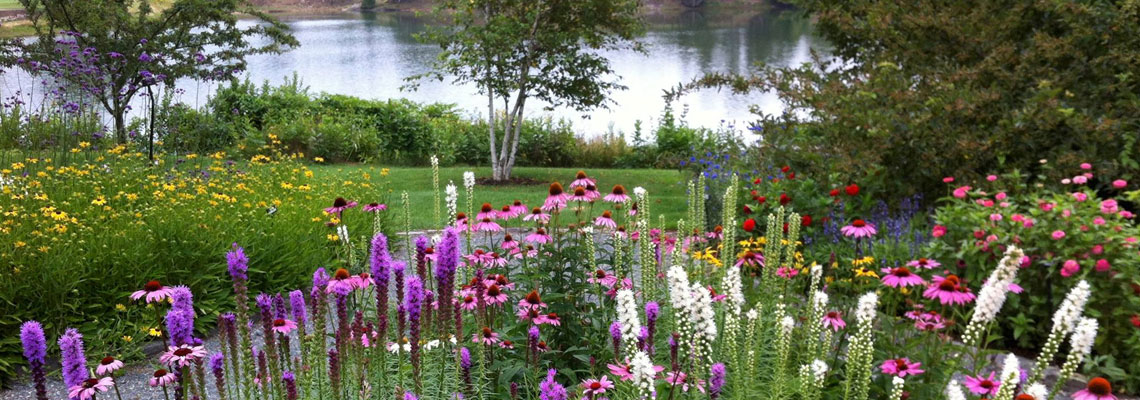 Area Gardens & Visitor Information
